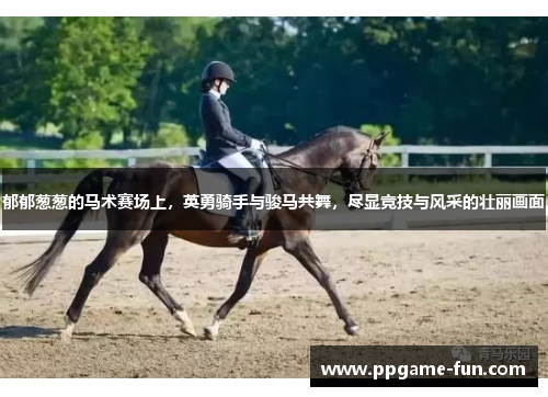 郁郁葱葱的马术赛场上，英勇骑手与骏马共舞，尽显竞技与风采的壮丽画面